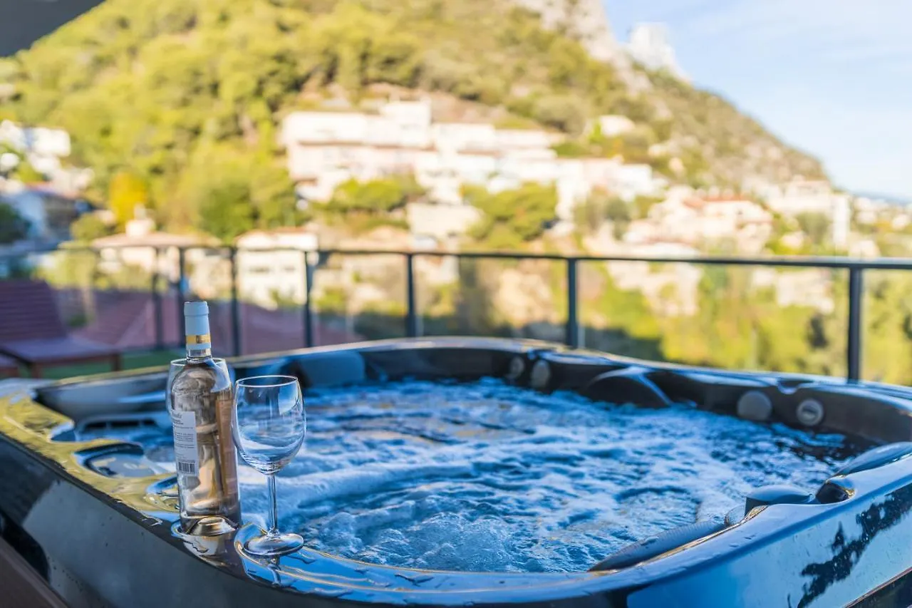 Monaco View, Pool, Garage, 100 M2 Terrace Apartment Beausoleil 0*,  France